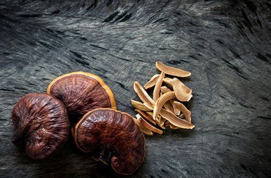 Reishi Mushroom