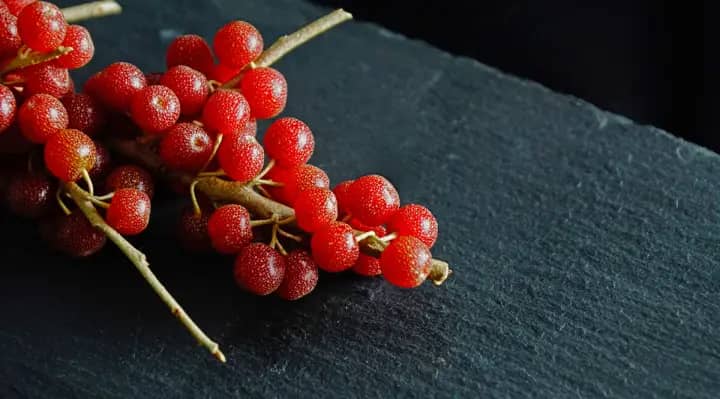 Schisandra berries