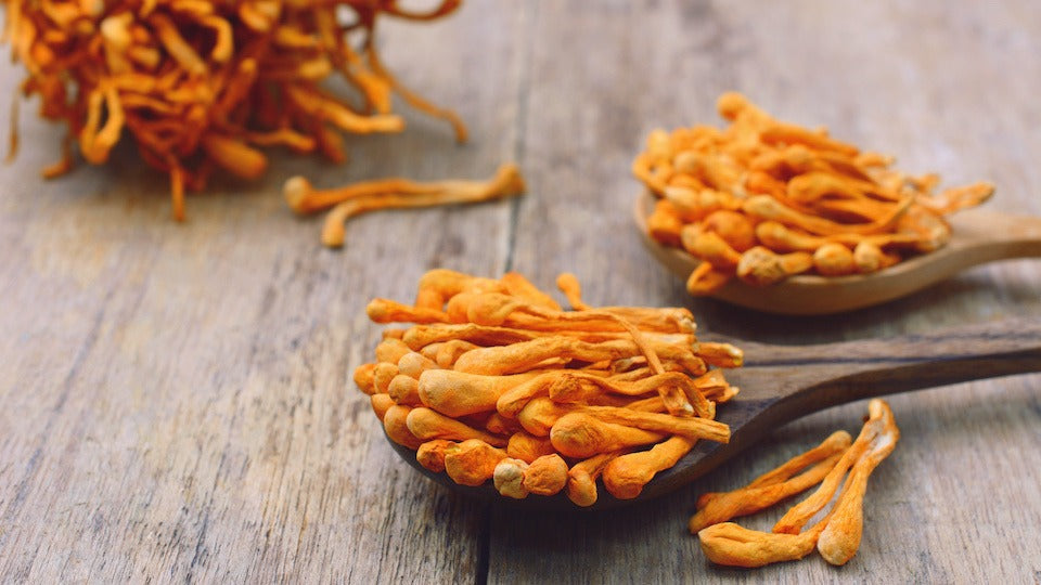 5 Reasons Why Eating This Fungi is So Good For you