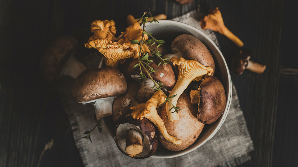 The Lowdown on Medicinal Mushrooms
