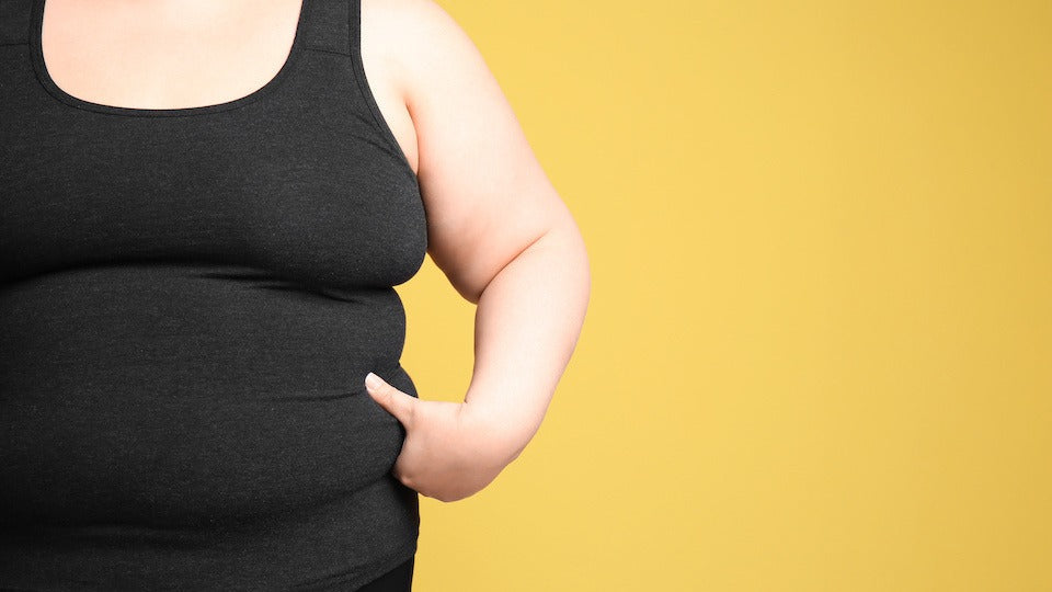 The Inflammation and Obesity Connection