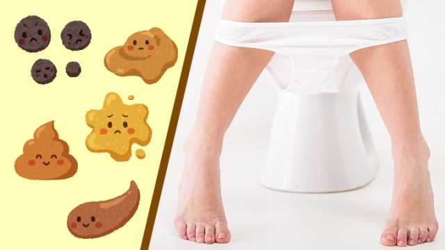 Bristol Poop Chart: Which Of These 7 Types Of Poop Do You Have?