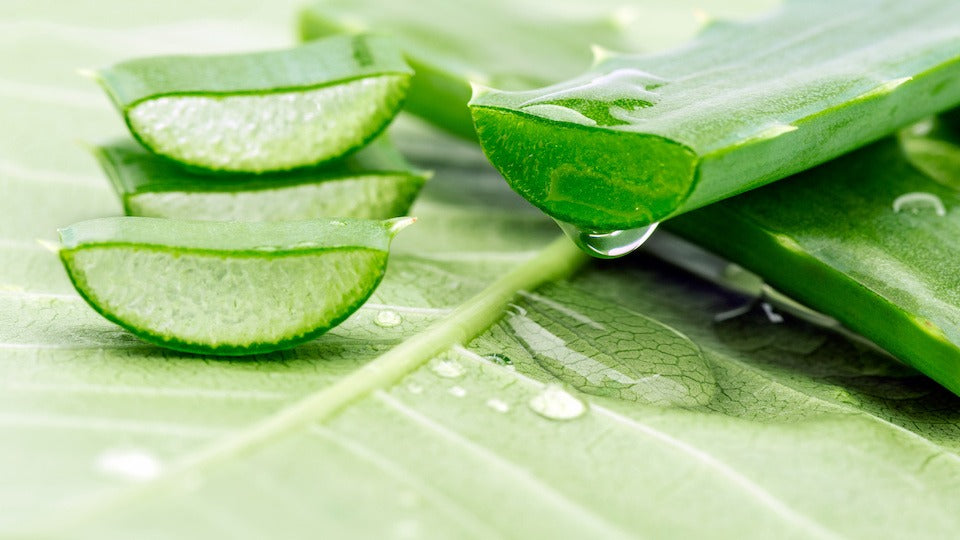Why Drinking This Tropical Elixir Could Be Just the Remedy You Need