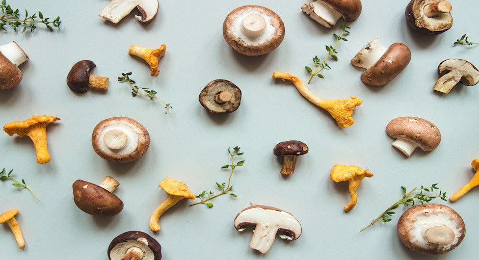 How to Use Mushroom Coffee to Look and Feel Great