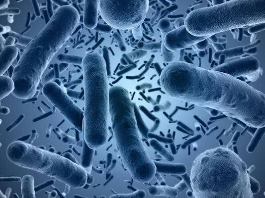 The Secret to Battling Frequent Infections