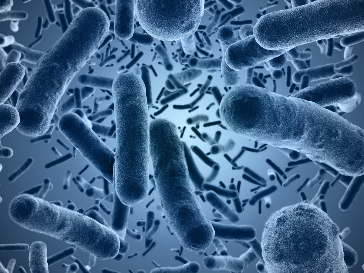 The Secret to Battling Frequent Infections