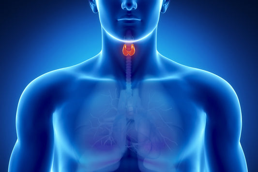 Biotin and Your Thyroid: Not Good News