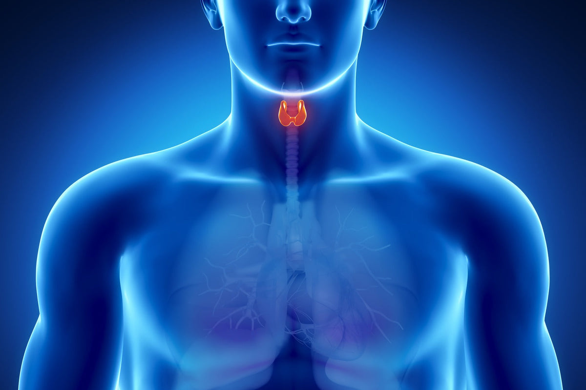 Biotin and Your Thyroid: Not Good News