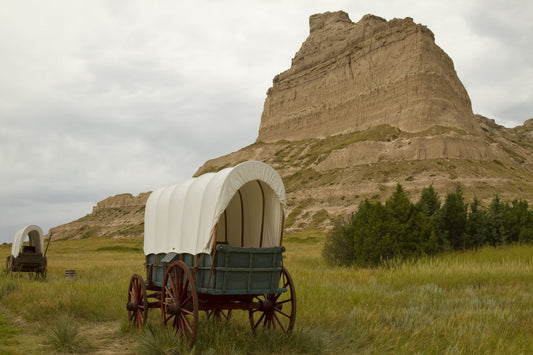 Quercetin Wagon Trails and Lard
