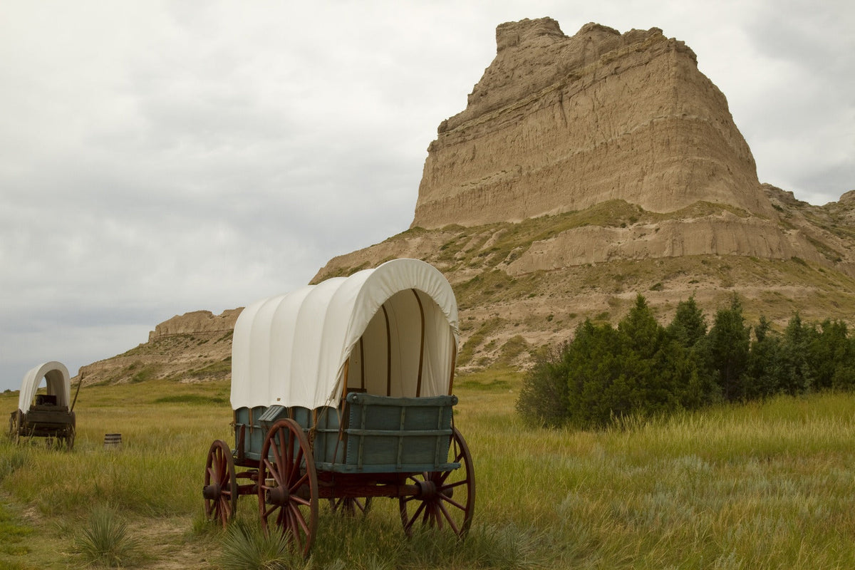 Quercetin Wagon Trails and Lard