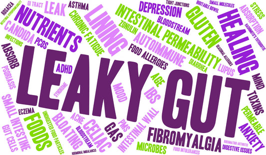 Is “Leaky Gut” Real?