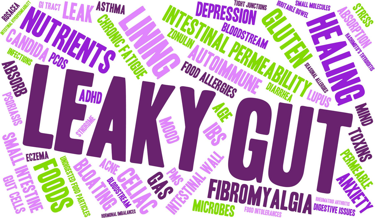 Is “Leaky Gut” Real?