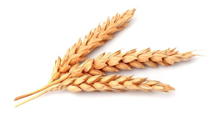 Breakthrough Discovery For Inflammation