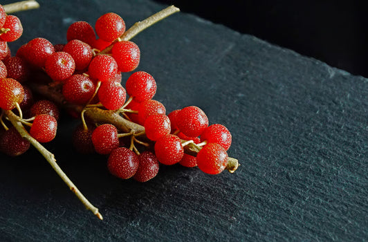 Schisandra Berry